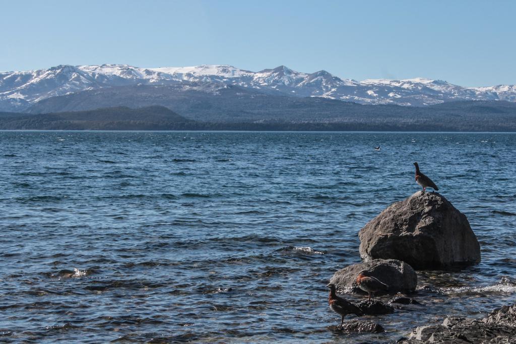 Bungalows San Isidro D.T. 114/10 San Carlos de Bariloche Dış mekan fotoğraf